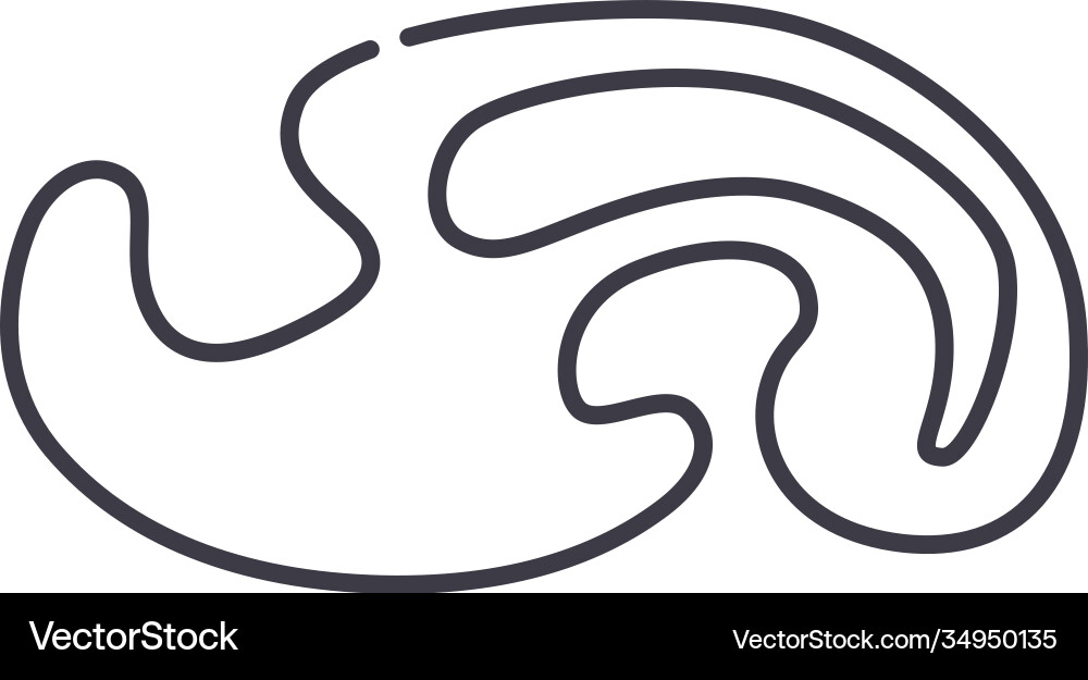 Curve line icon linear isolated Curve line icon linear isolated vector image