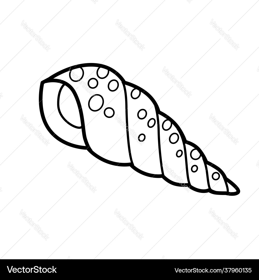 Mithrids shell outlined for coloring page Mithrids shell outlined for coloring page vector image