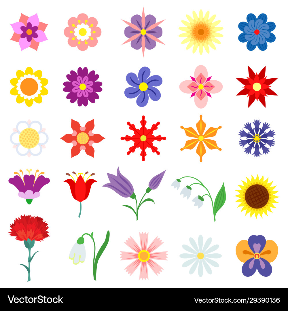 Color flowers set