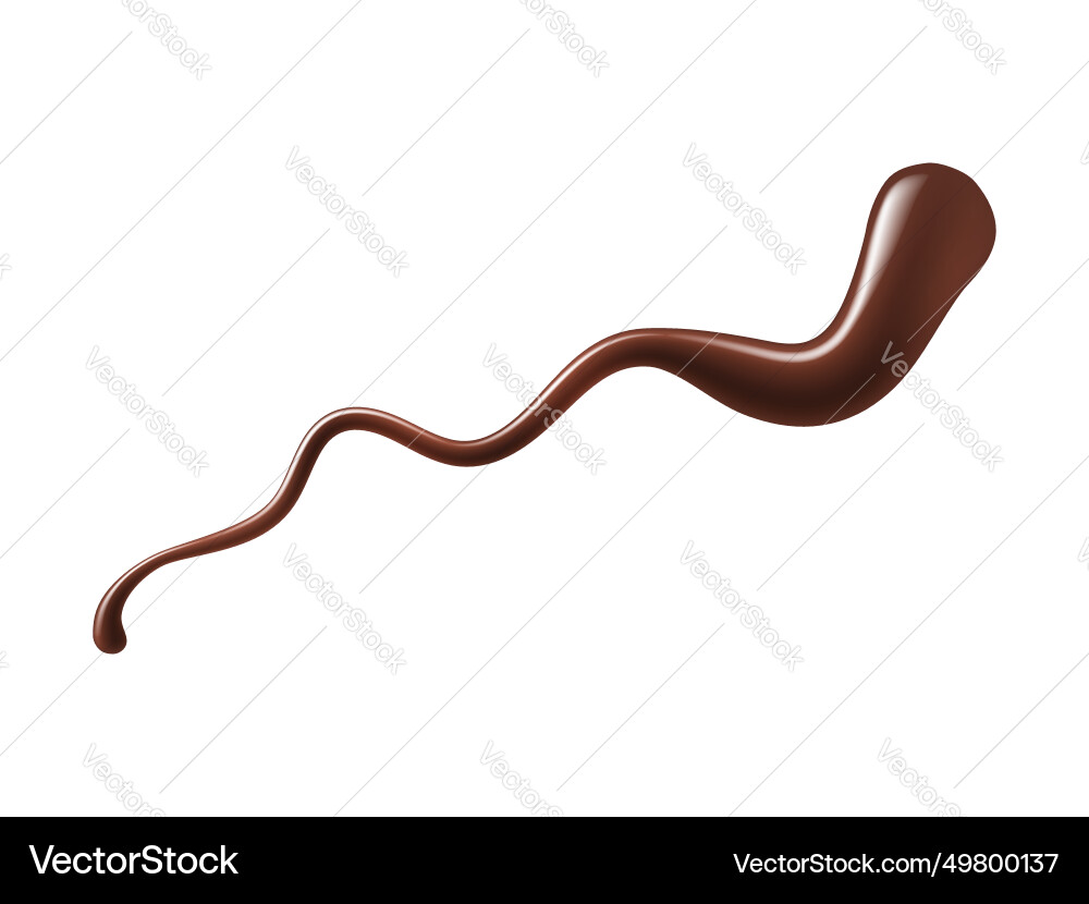 Chocolate sauce syrup splash topping for desserts vector image