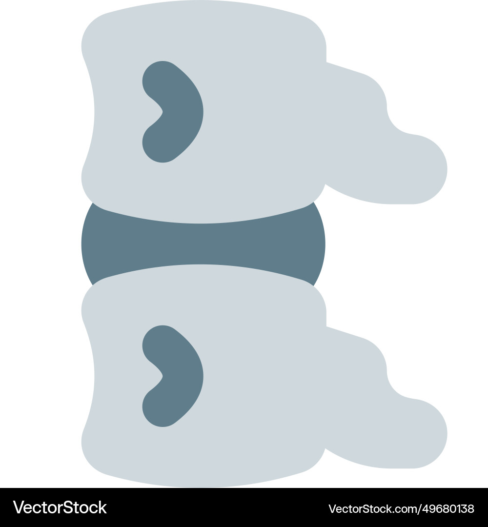A subphylum of chordates comprising segmented Vector Image