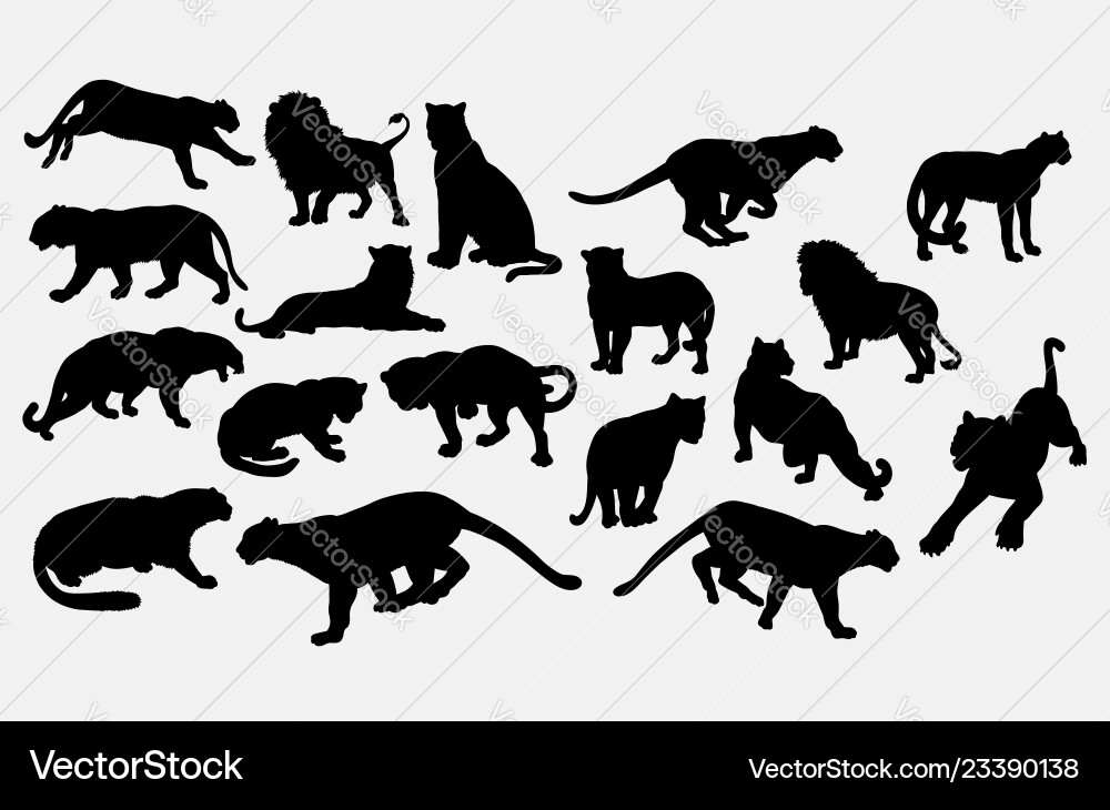 Lion and Tiger Silhouettes Vector Image