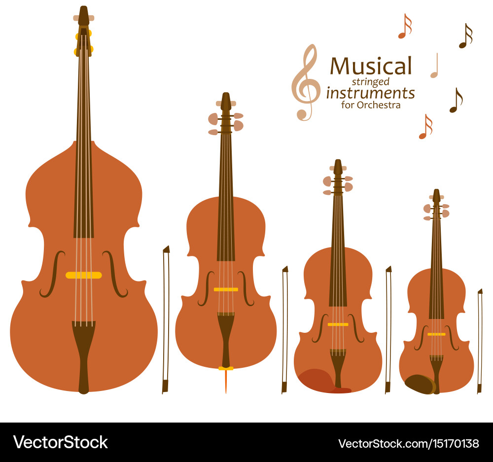 Stringed Instruments Orchestra vector image