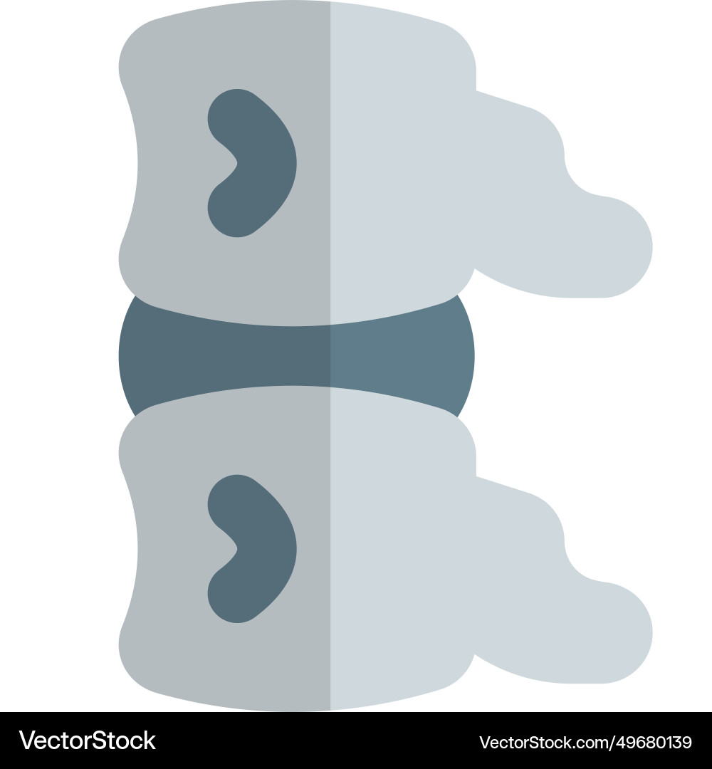 A subphylum of chordates comprising segmented Vector Image