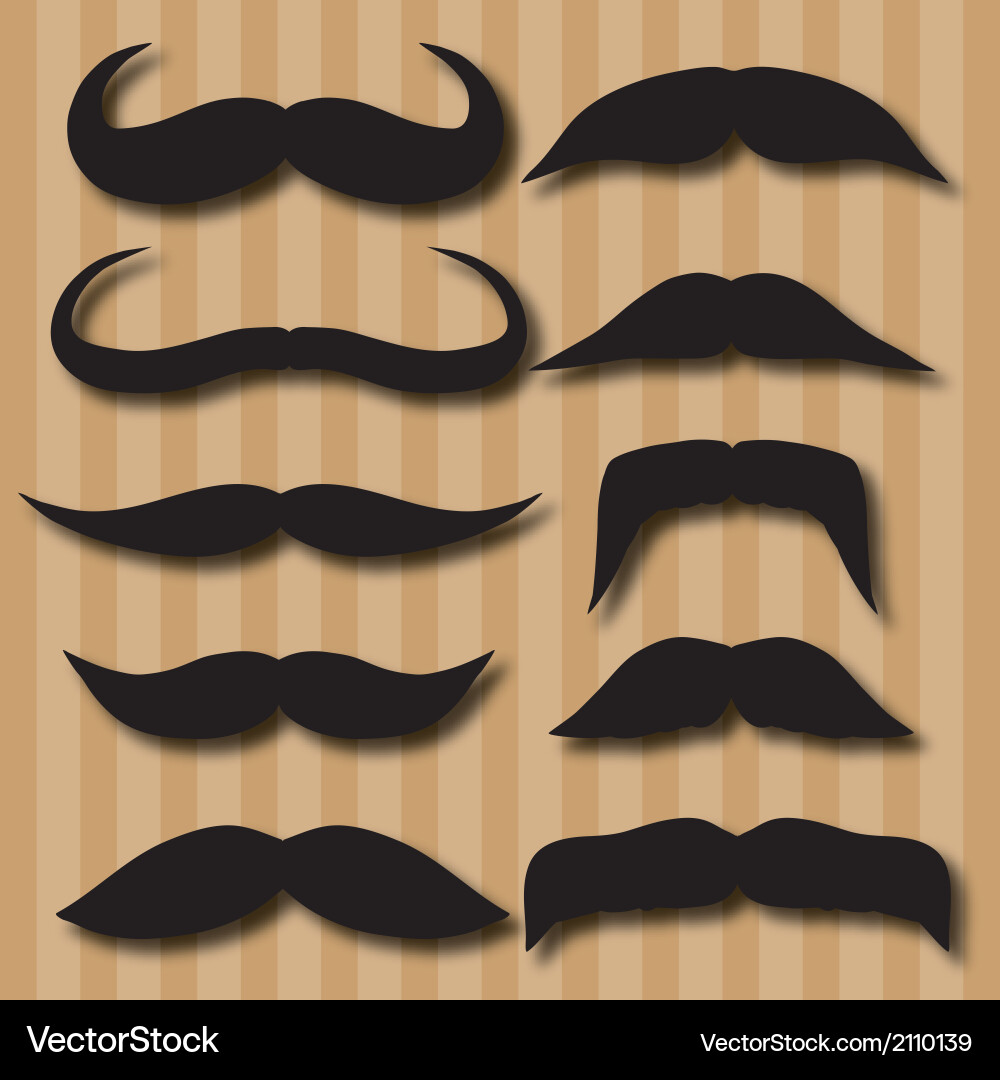 Different types of mustaches retro style vector image