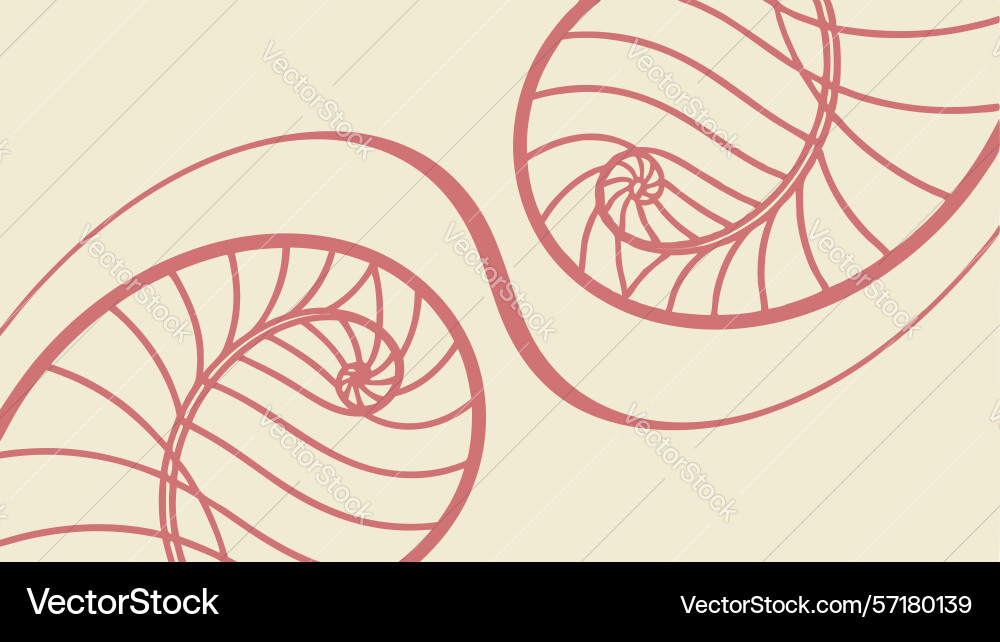 Elegant spiral pattern design with organic flow vector image