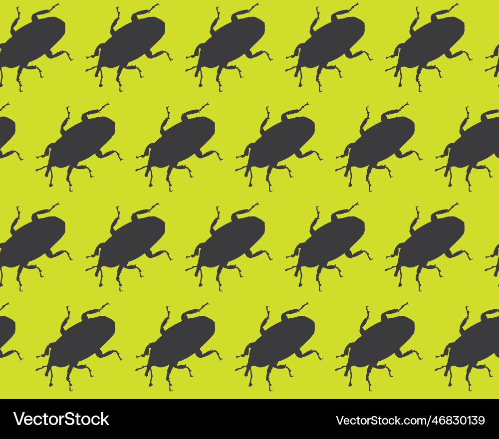 Seamless pattern with weevil bugs endless Vector Image