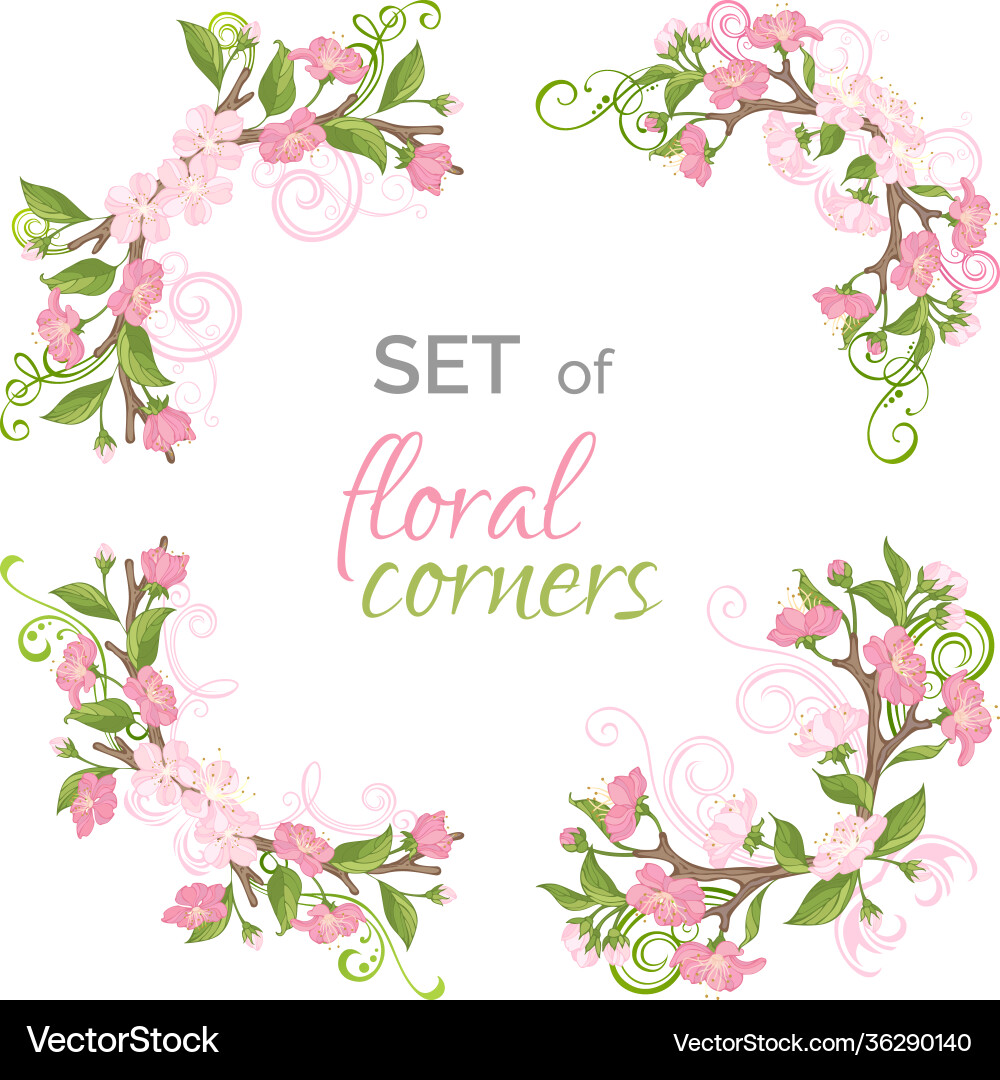 Floral Spring Branches Vector Image