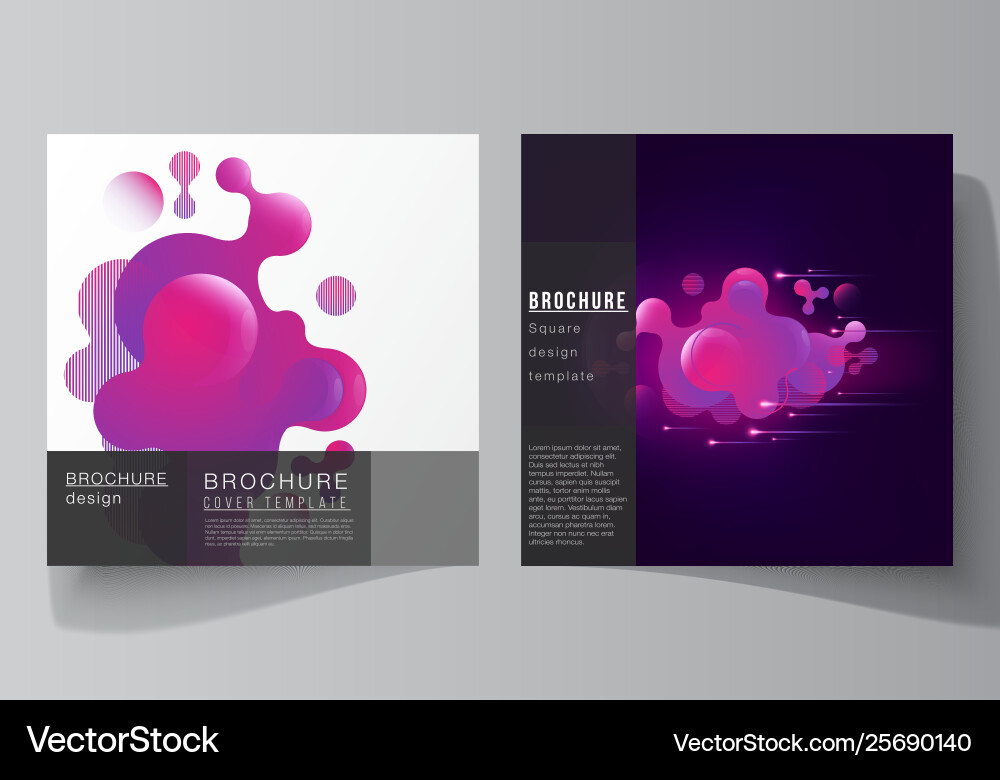 Minimal layout two square format Minimal layout two square format vector image