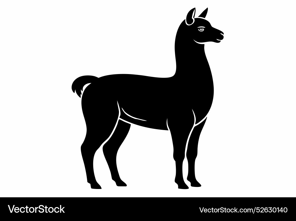 Unique alpaca silhouette c Royalty Free Vector Image