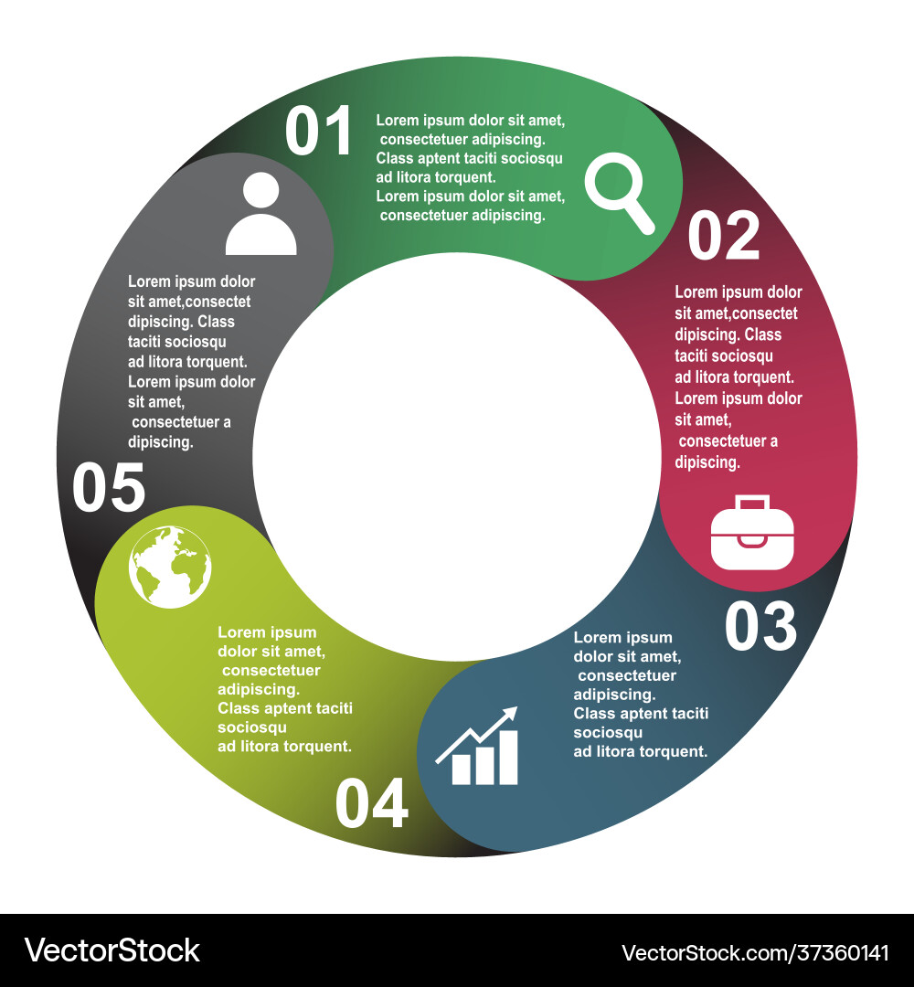 5 steps element in five colors with labels 5 steps element in five colors with labels vector image