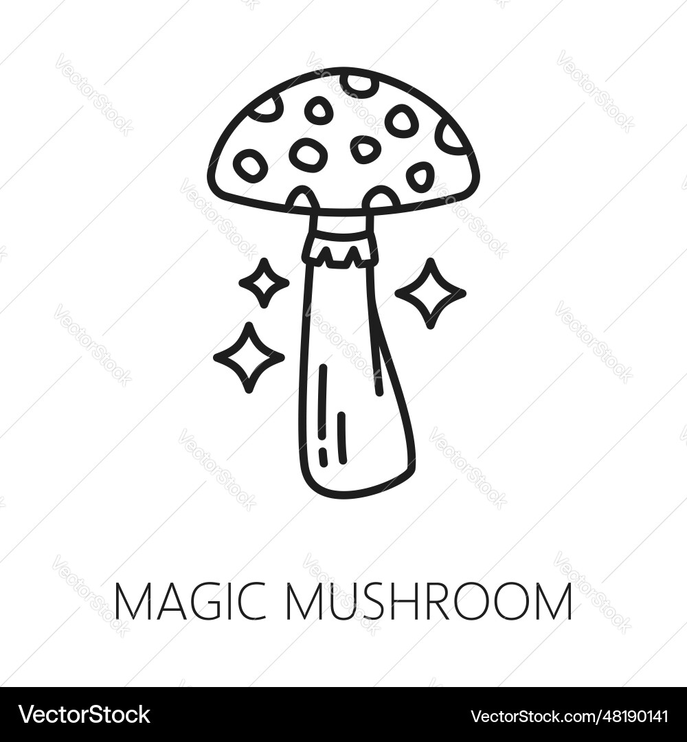 Magic mushroom witchcraft and mystery occult icon Magic mushroom witchcraft and mystery occult icon vector image