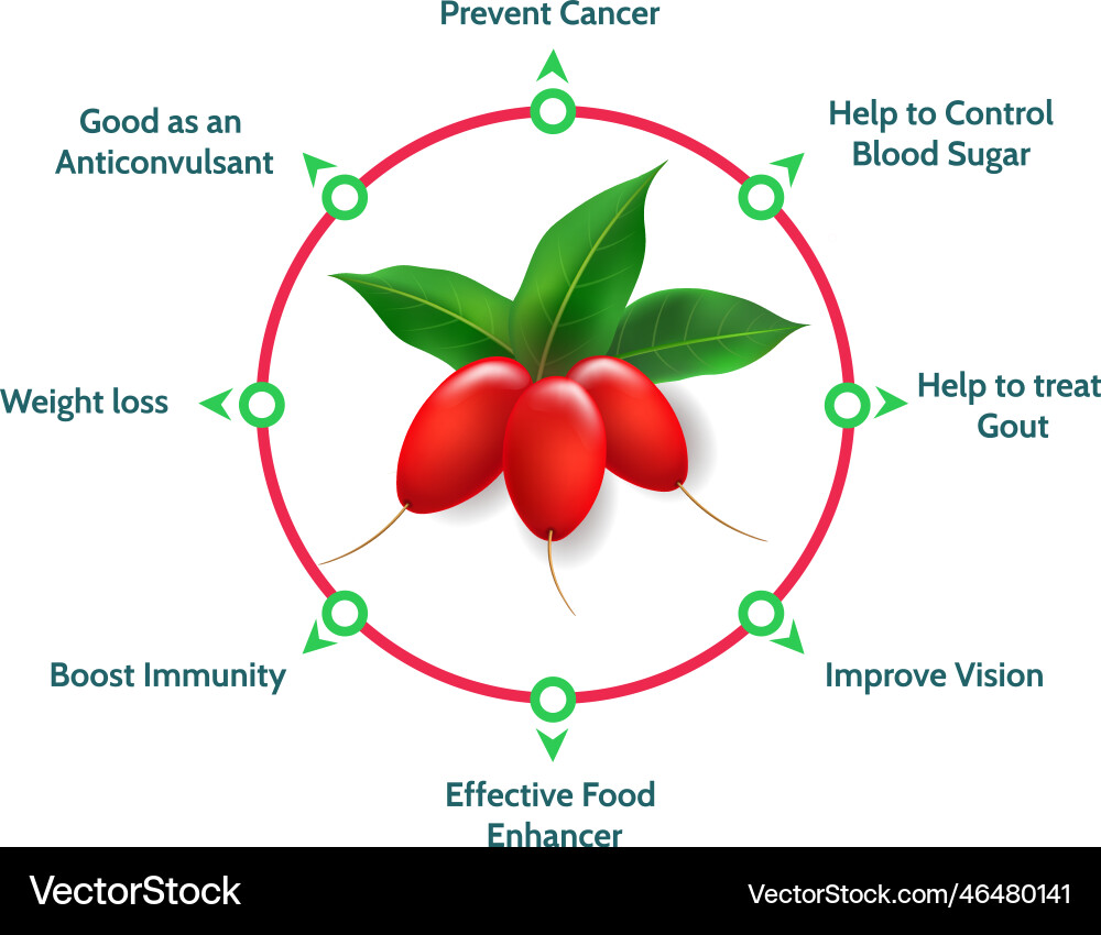 Miracle fruit vitamins Miracle fruit vitamins vector image