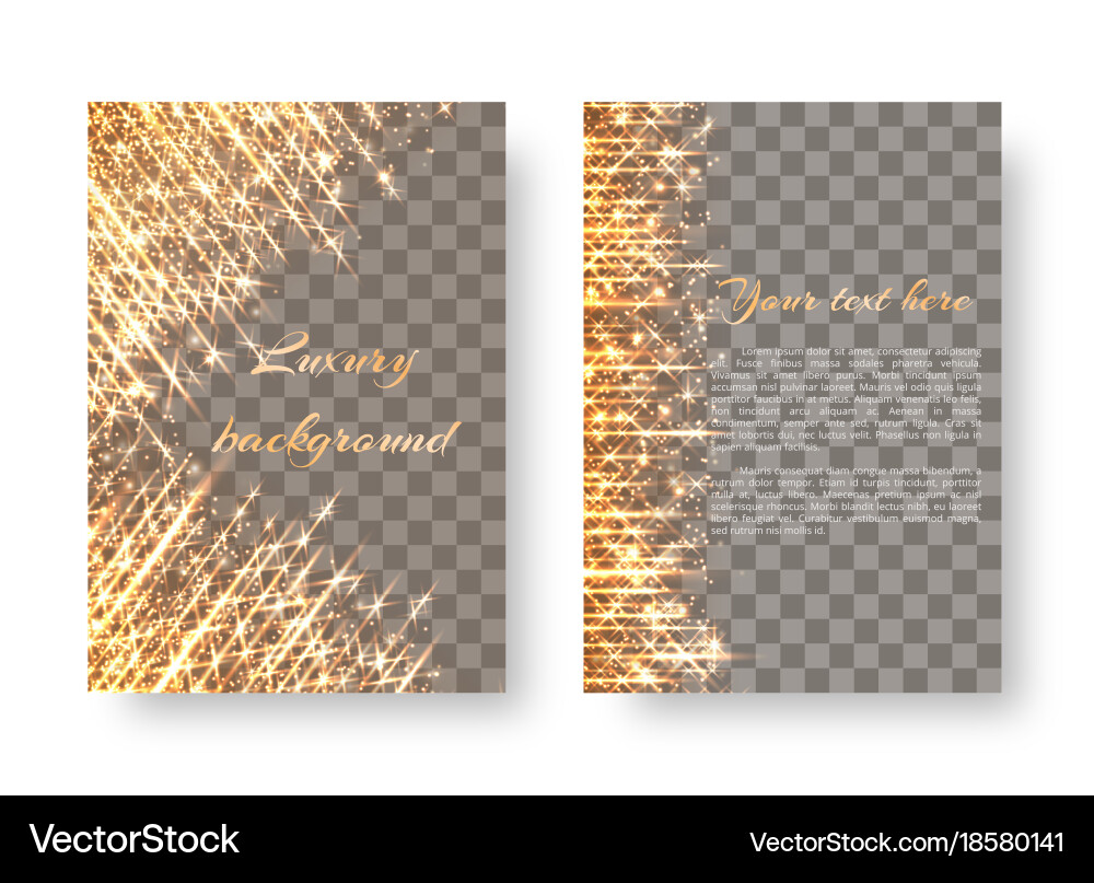Sequins background with light effect Vector Image