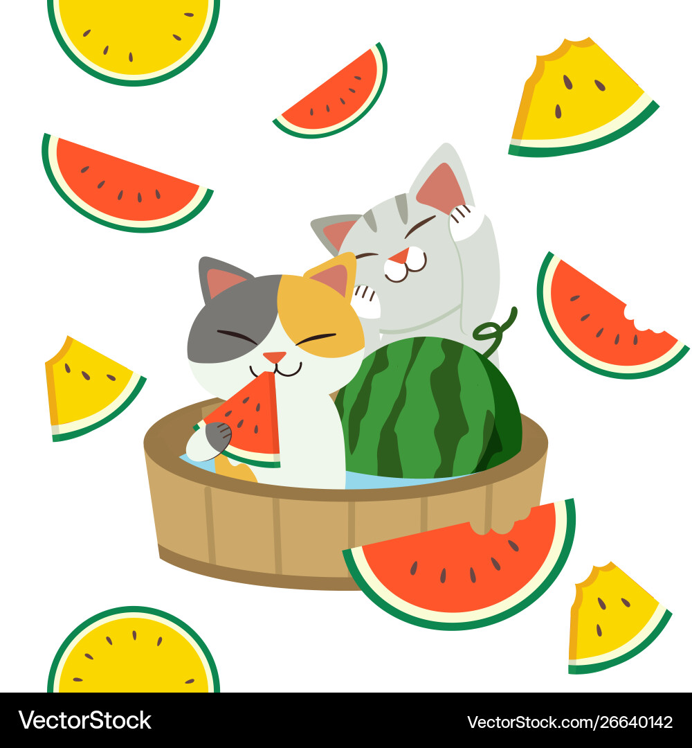 Character cute cat eatting a red Character cute cat eatting a red vector image