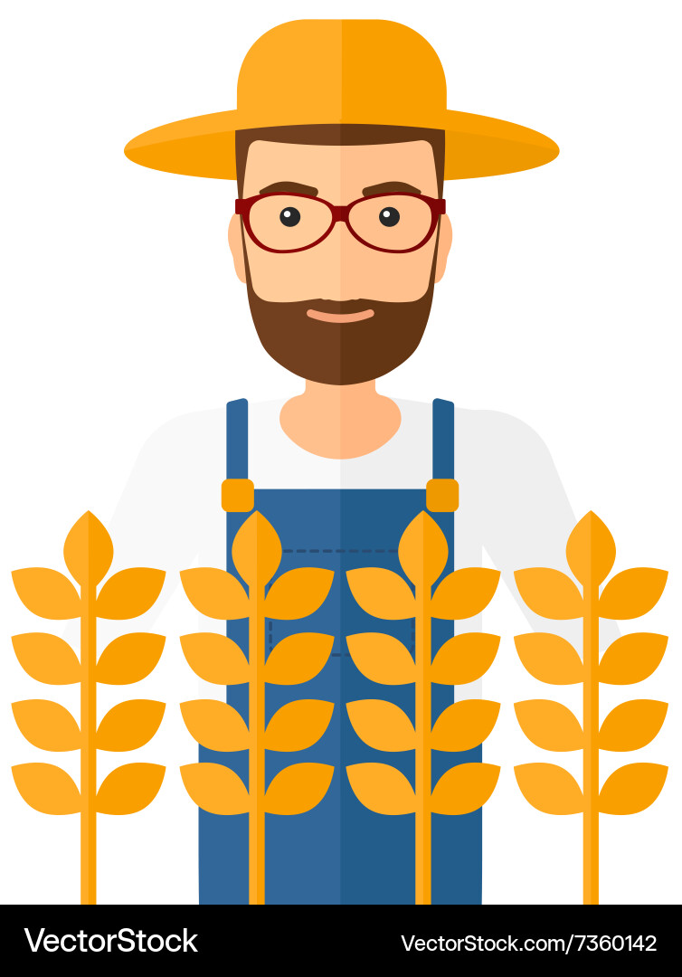 Man in wheat field Vector Image