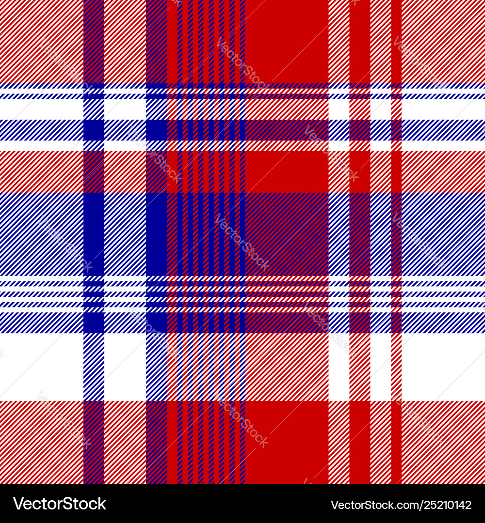 Red and Blue Plaid Fabric Texture Vector Image