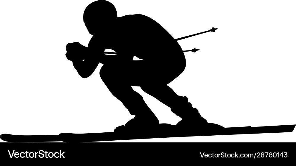 Alpine skiing downhill Royalty Free Vector Image