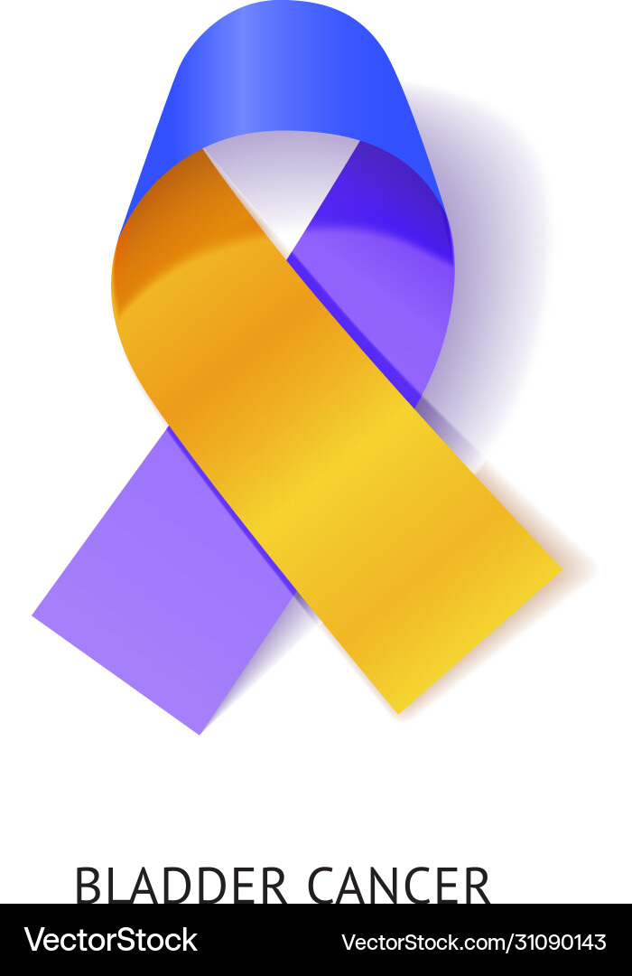 Bladder cancer awareness ribbon realistic Bladder cancer awareness ribbon realistic vector image