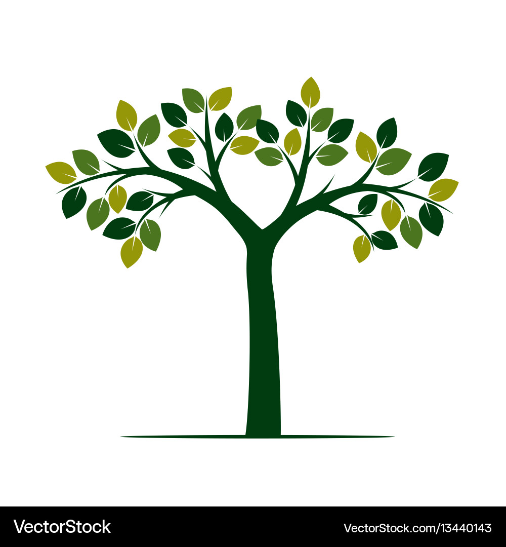 Shape of green tree vector image