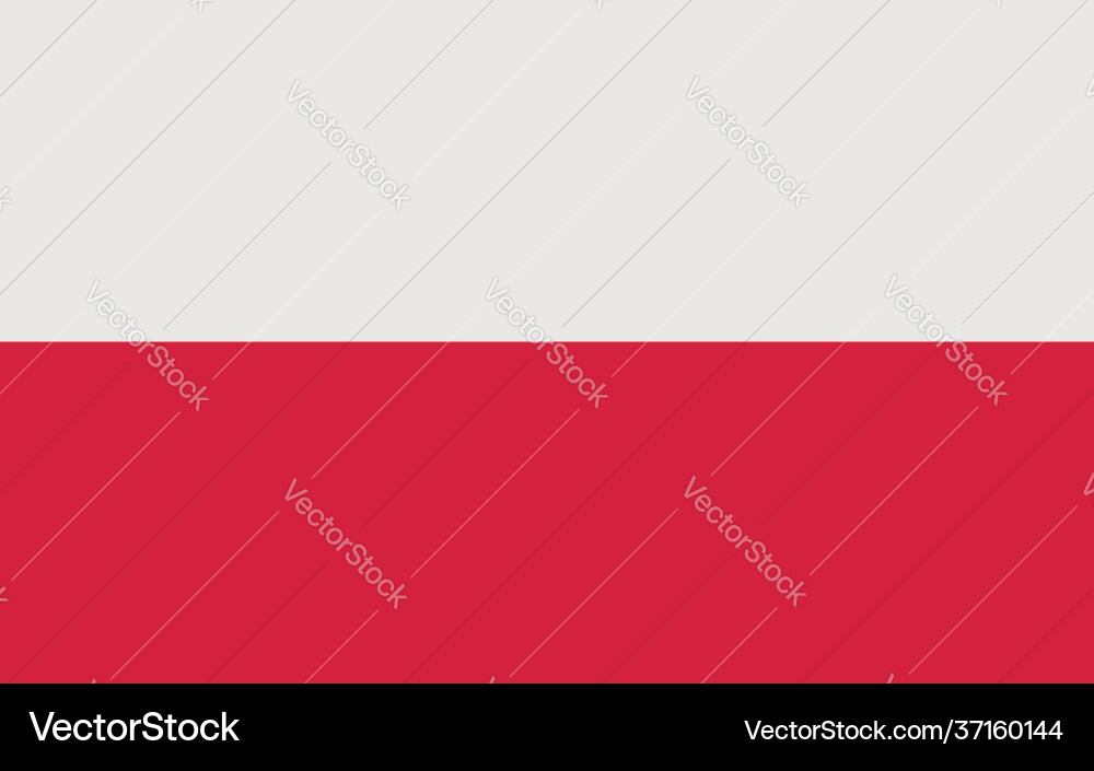 Polish flag official republic Polish flag official republic vector image