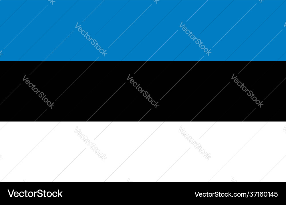 Flag estonia official republic Flag estonia official republic vector image