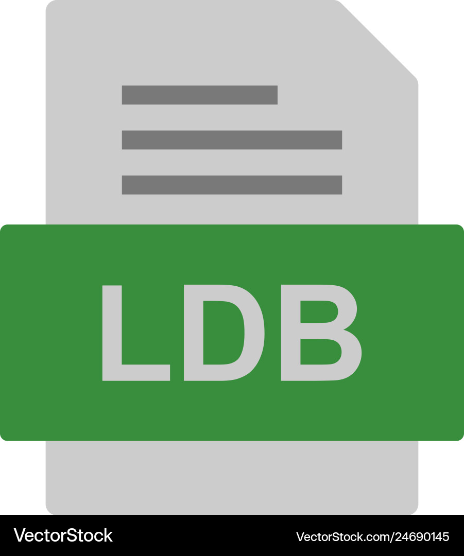 Ldb file document icon Vector Image