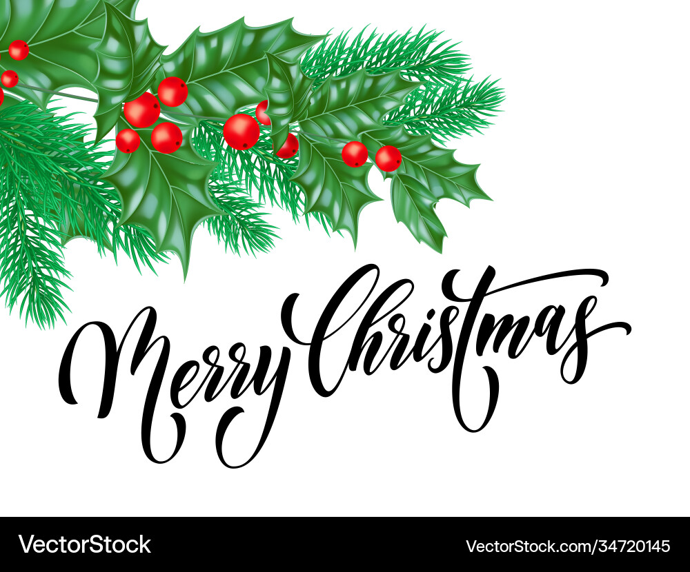 Merry christmas greeting card holly leaf berry Merry christmas greeting card holly leaf berry vector image