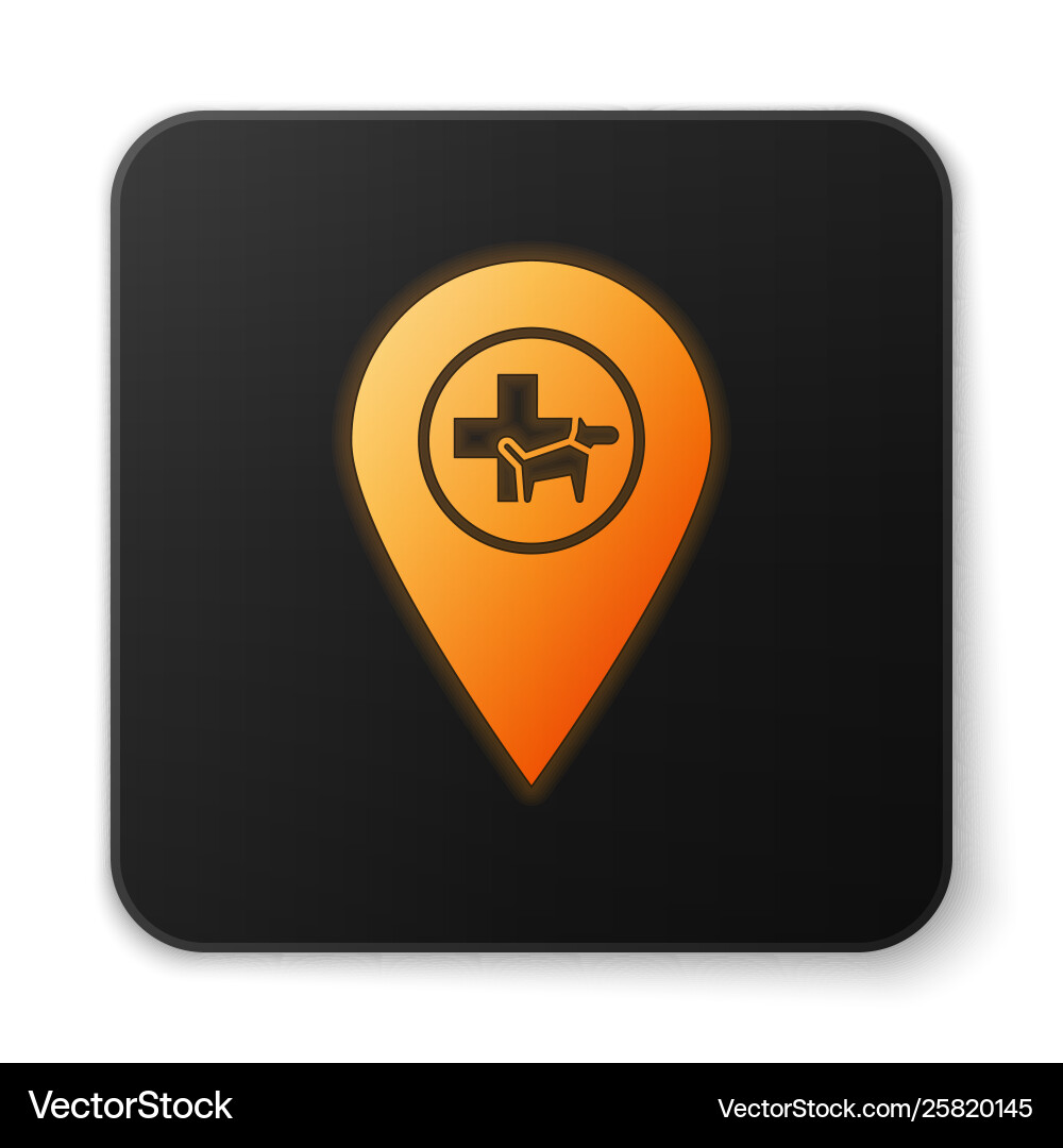 Orange glowing map pointer with veterinary Vector Image
