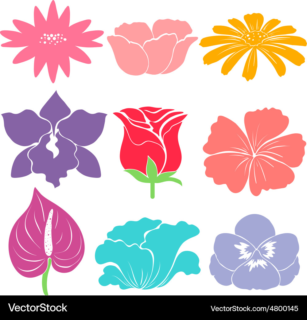 Sample flower pattern in different colors Vector Image
