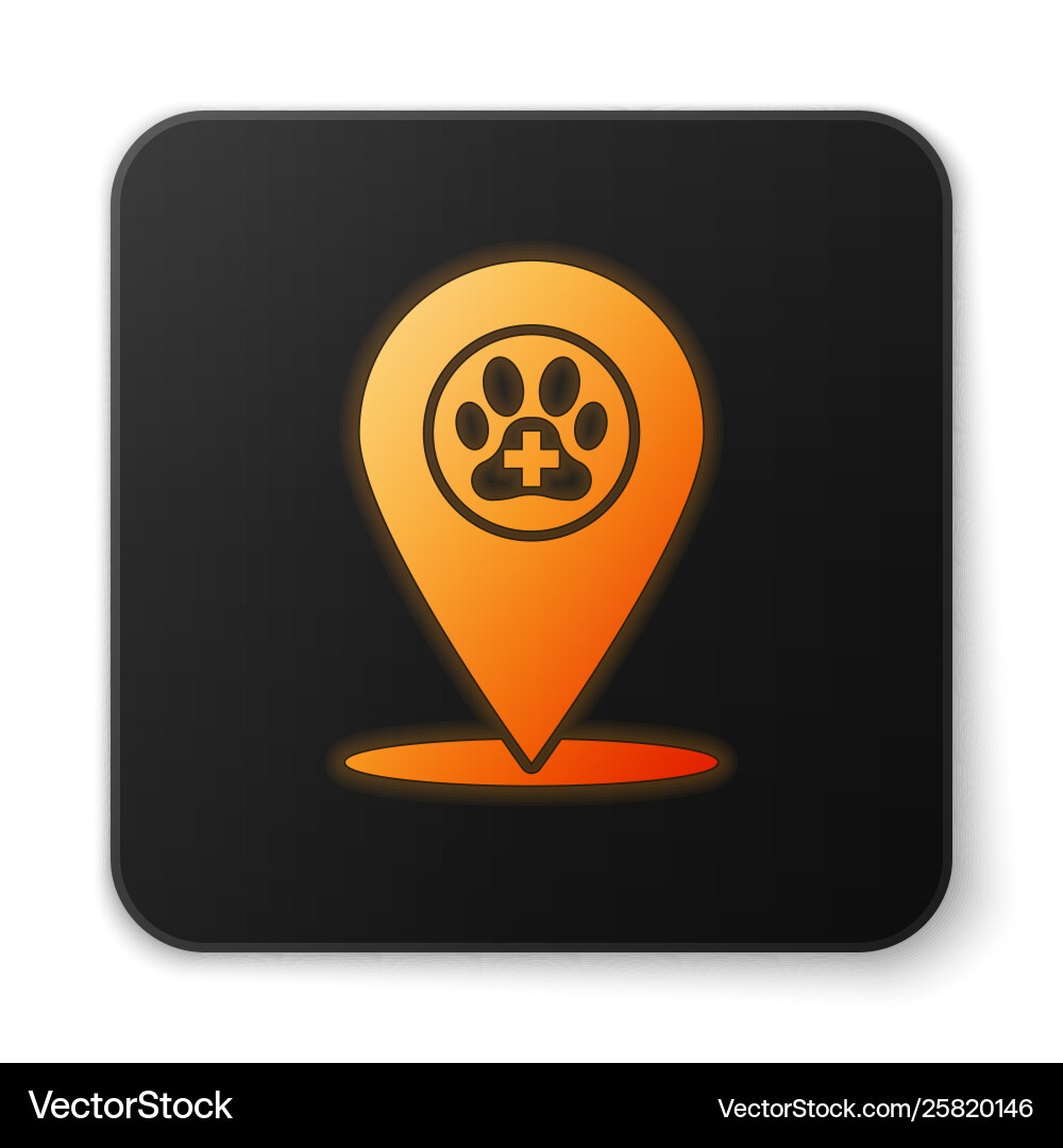 Orange glowing map pointer with veterinary Orange glowing map pointer with veterinary vector image