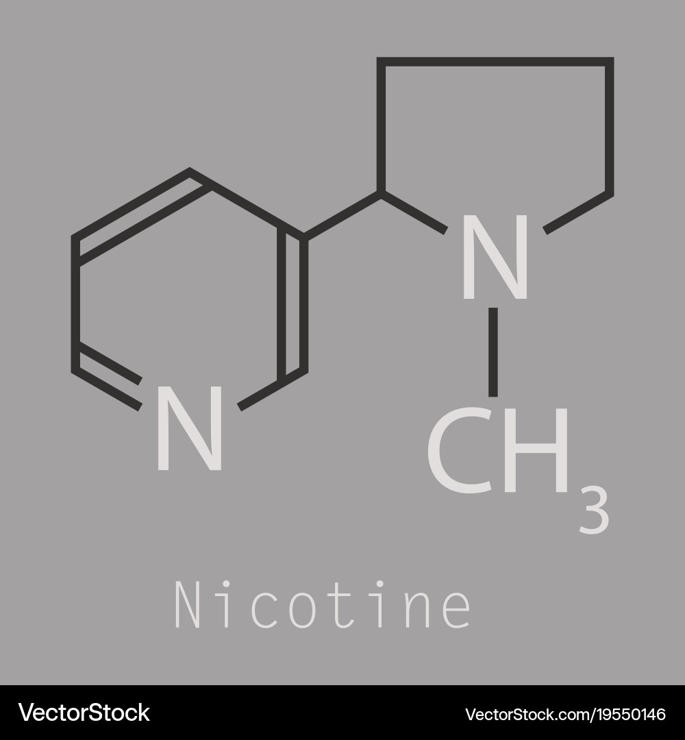 Structural chemical molecular formula and model Vector Image