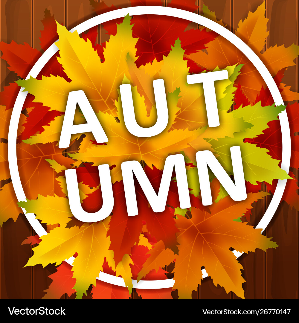 Autumn background template with falling bunch Autumn background template with falling bunch Vector Image