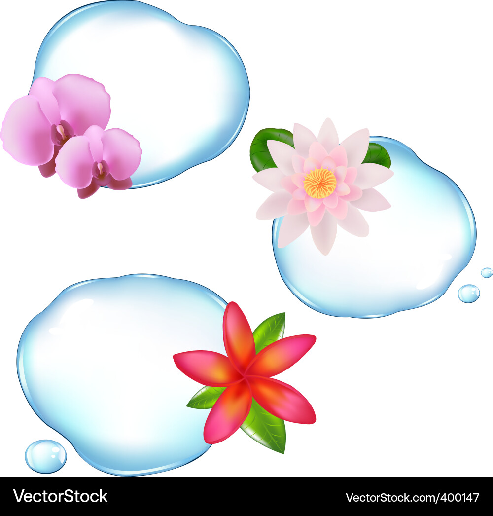 Floral Water Reflections Vector Image