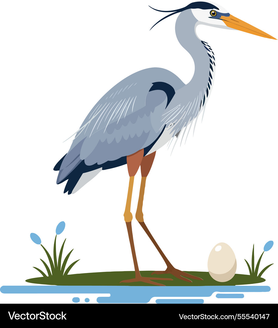 Grey heron standing next to an egg in a minimal Vector Image