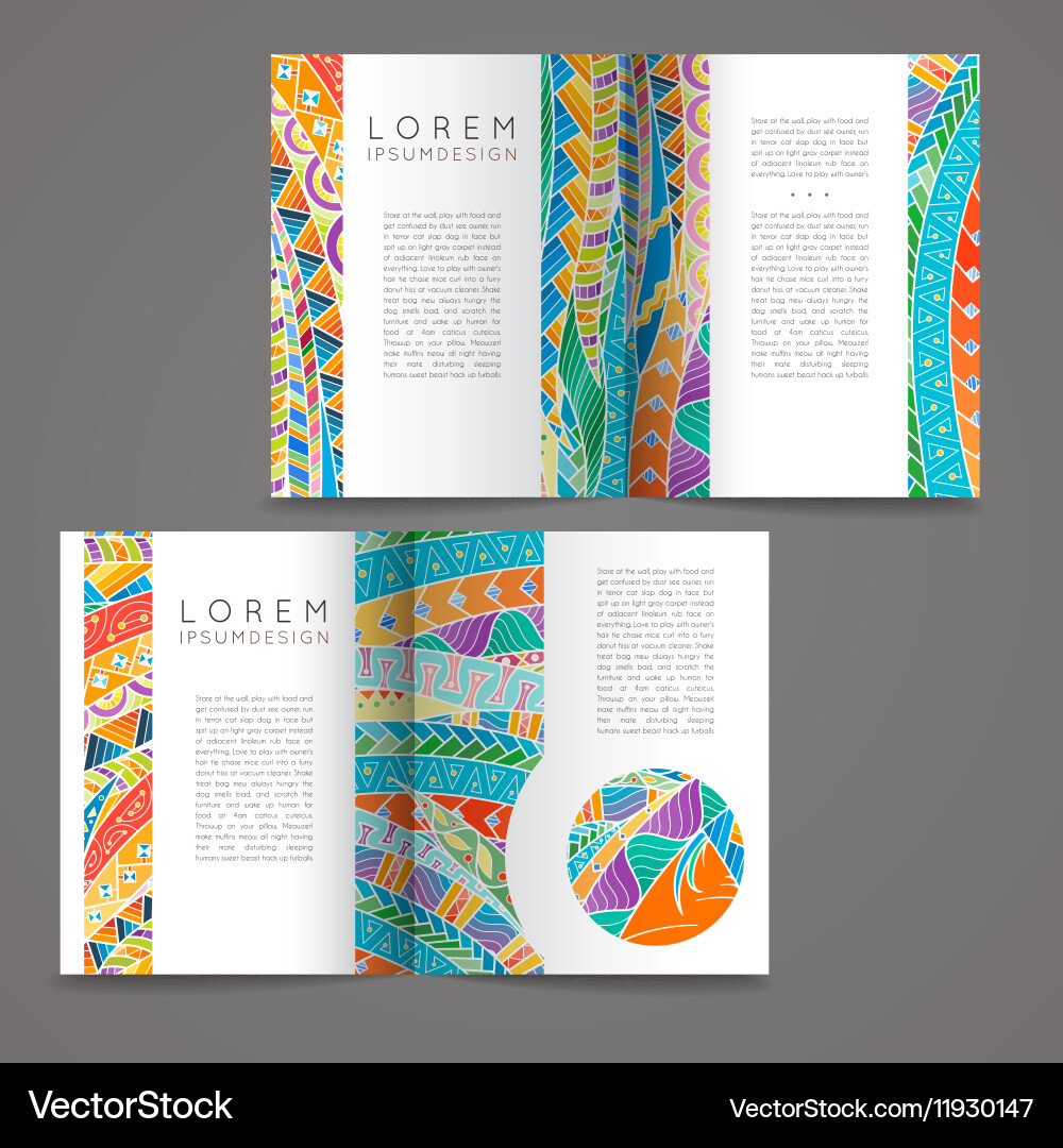 Set of design templates brochures in random vector image