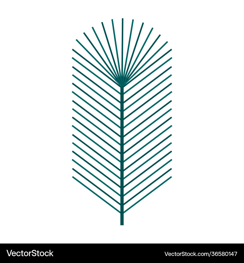 Simple minimalistic green branch a spruce Simple minimalistic green branch a spruce Vector Image