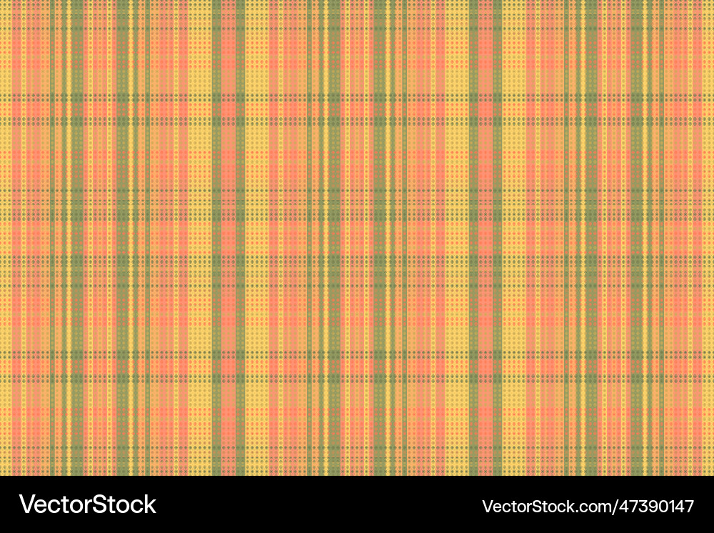 Tartan plaid pattern with texture and summer color Vector Image