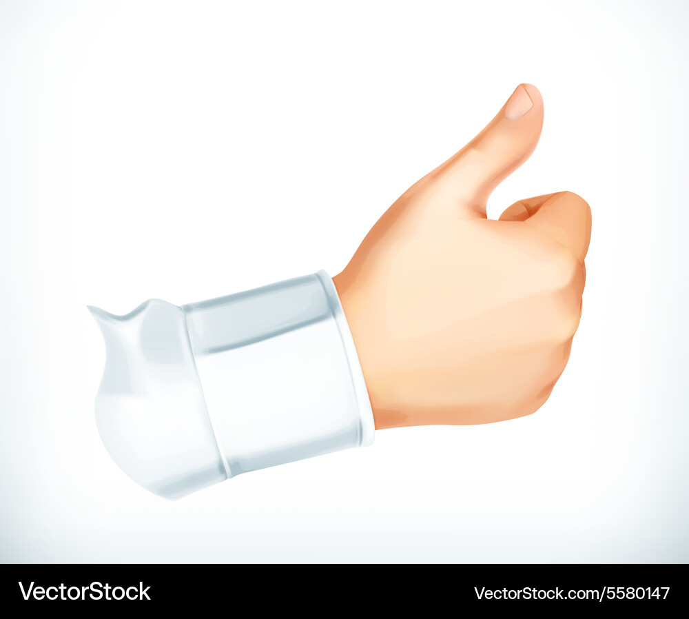 Thumb up icon Vector Image