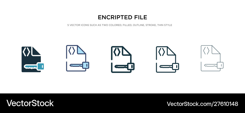 Encripted file icon in different style two vector image