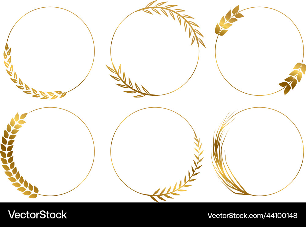 Laurel leaf golden frames isolated wreath Laurel leaf golden frames isolated wreath vector image