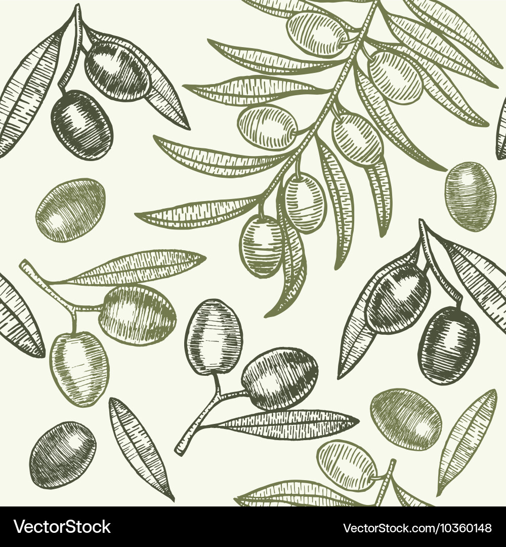 Olives hand draw sketch background pattern vector image