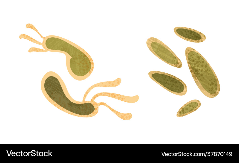 Bacteria set disease causing objects Vector Image