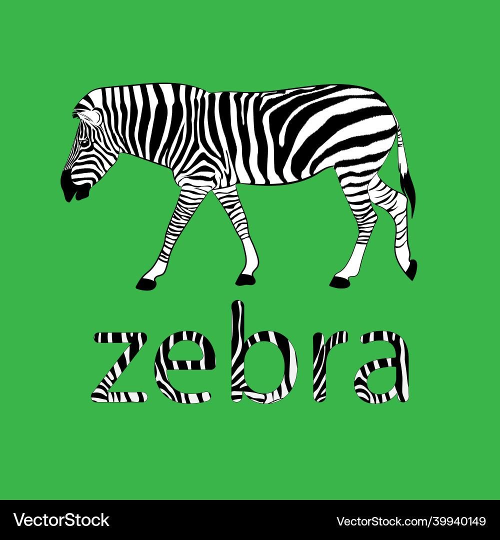 Graphics image animal zebra with text Vector Image
