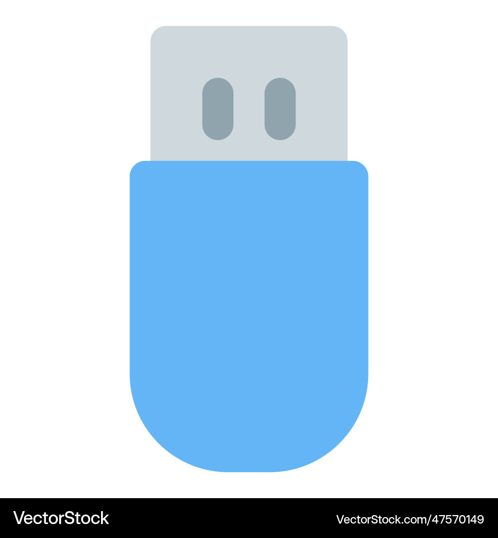 Removable flash drive for data storage Vector Image