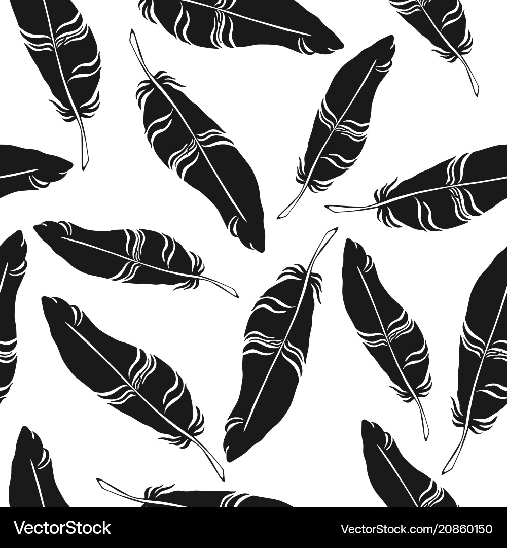 Feather pattern Feather pattern vector image