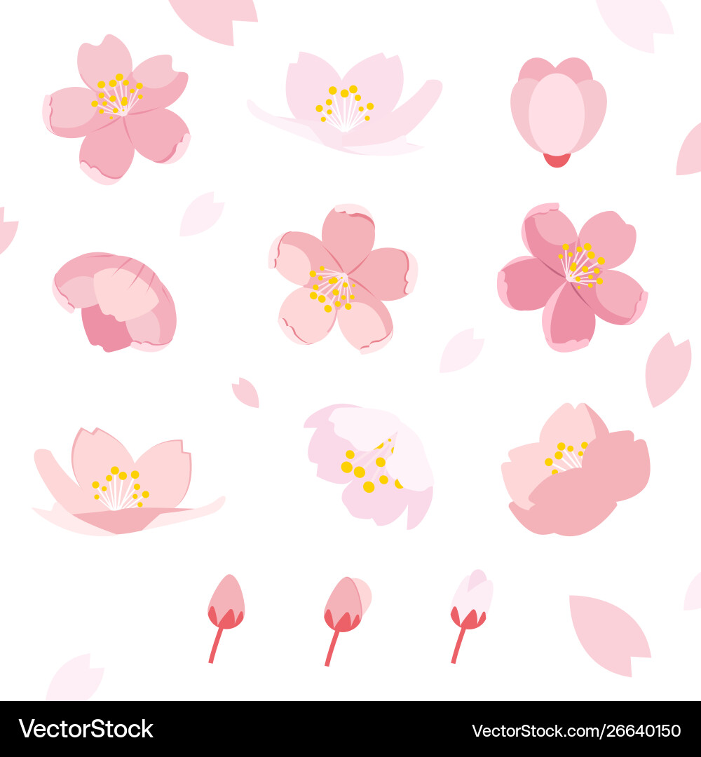 Sakura pattern set Sakura pattern set Vector Image