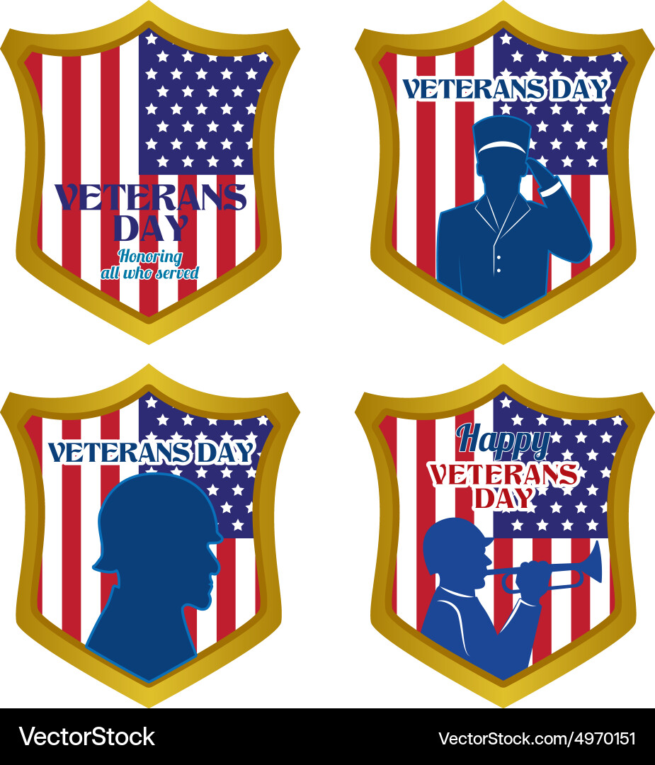 Abstract veteran day objects on a white background vector image