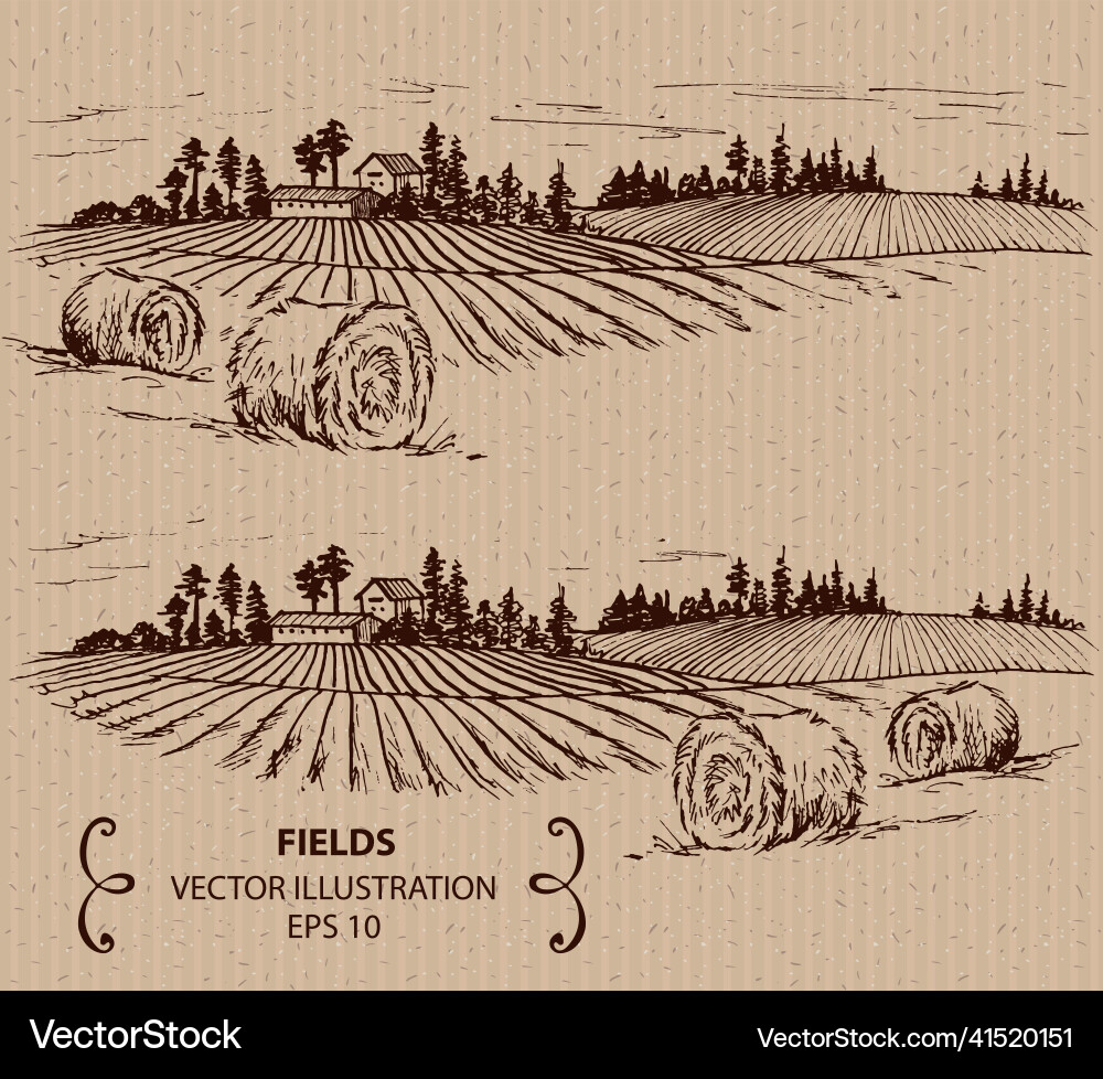 Fields and hay Royalty Free Vector Image - VectorStock