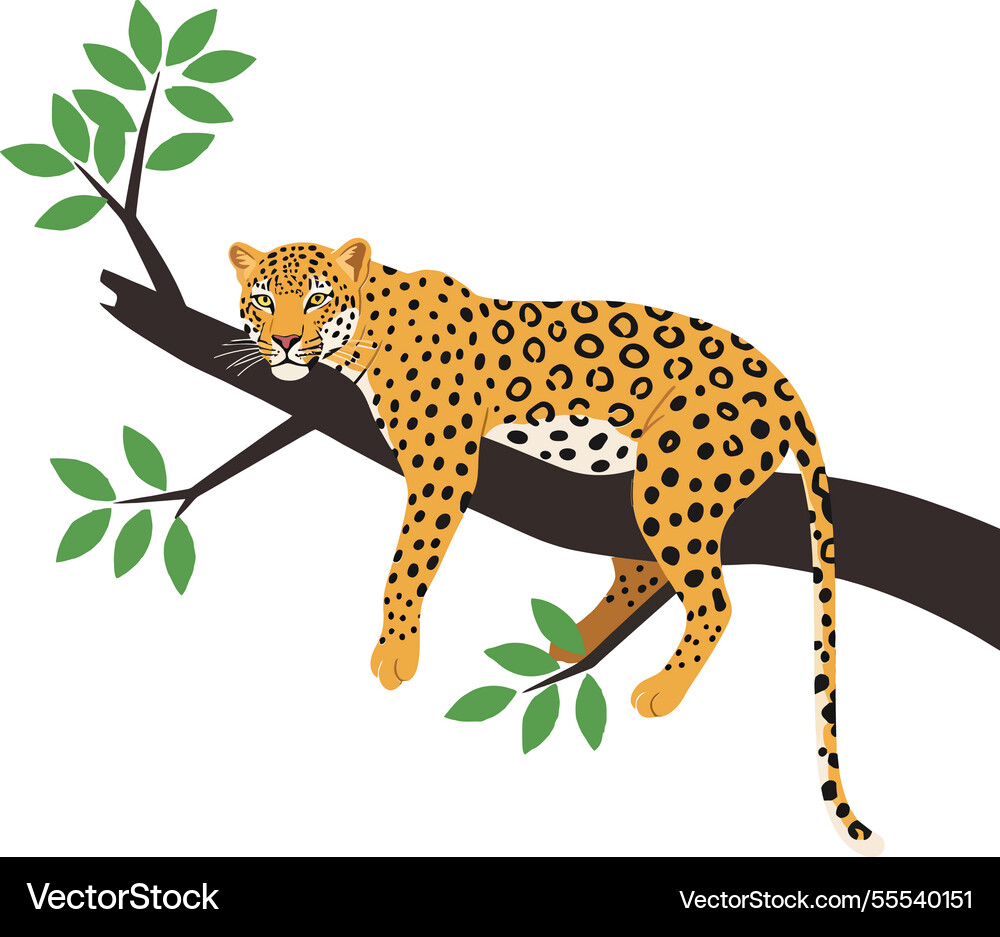 Leopard lounging on a tree branch in flat design Leopard lounging on a tree branch in flat design Vector Image